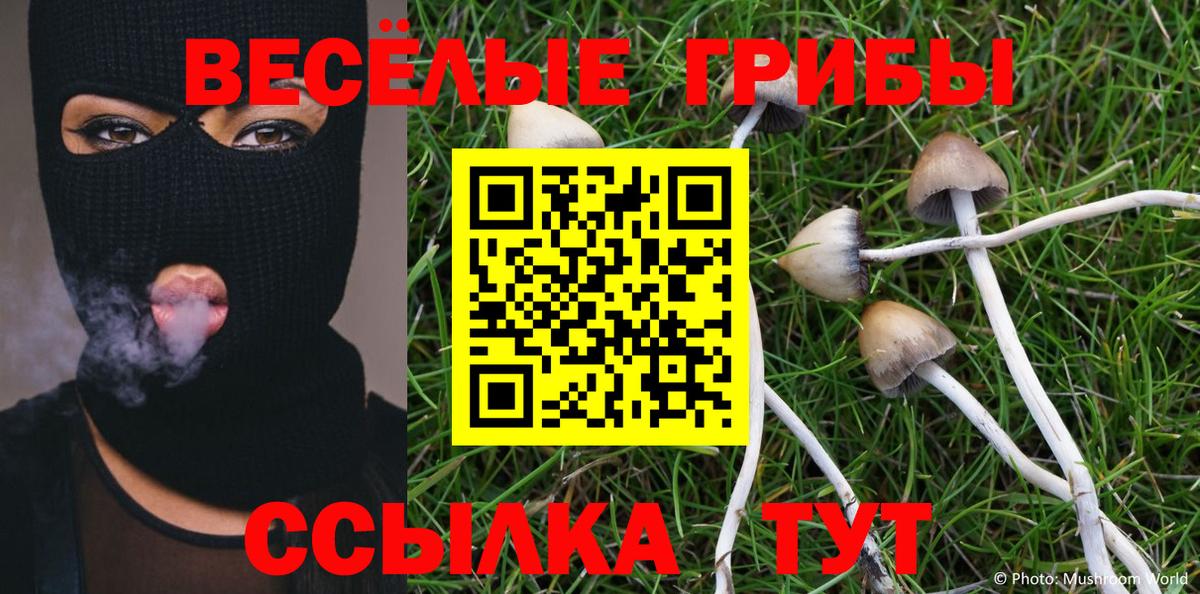 Мурино  Галлюциногенные грибы мицелий  Галлюциногенные грибы мухоморы  Вход с VPN 