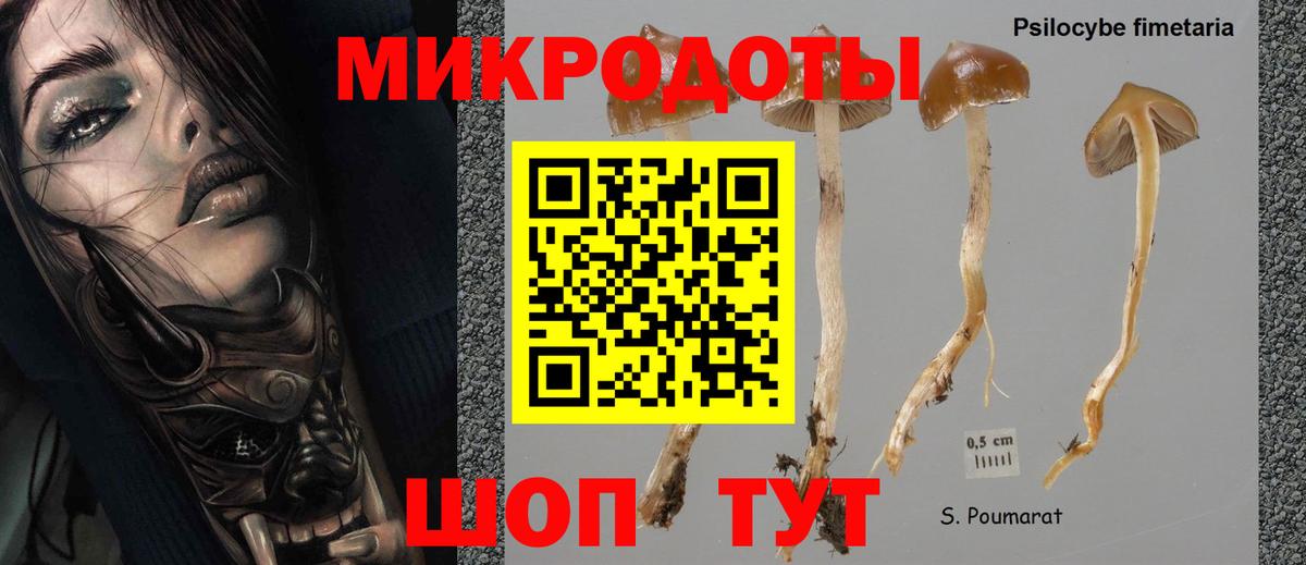 Псилоцибиновые грибы Magic Shrooms Мурино
